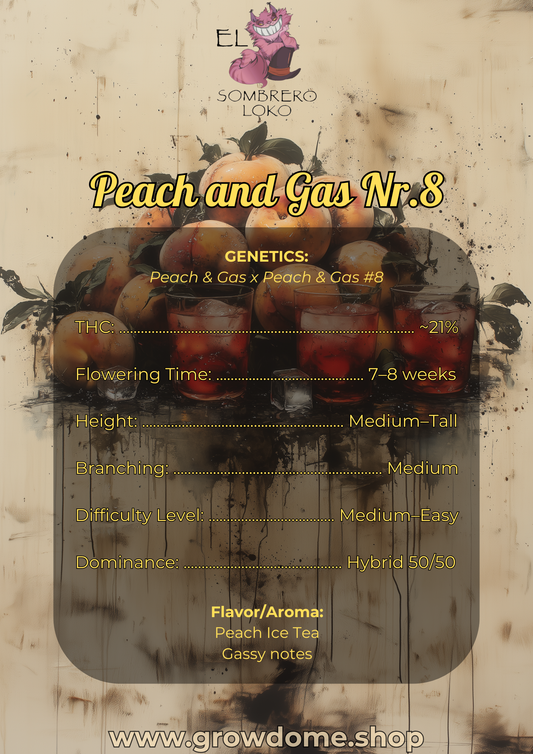 Peach and Gas #8 (feminisiert)