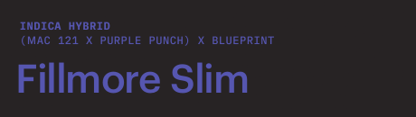 Fillmore Slim (fem)
