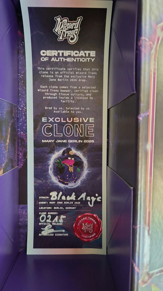 Black Magic MJ26 Limited Selection