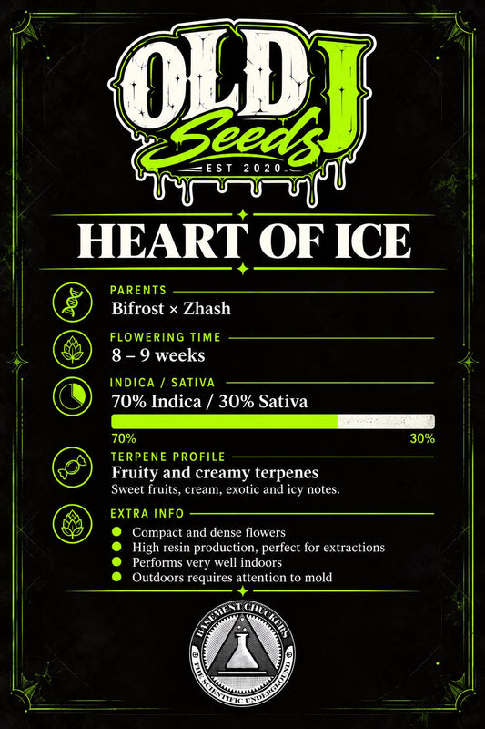 Hearts of Ice (fem)