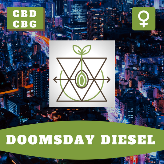 Doomsday Diesel CBD (feminisiert)