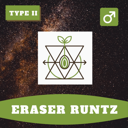 Eraser Runtz 1:1 Ratio (regular)