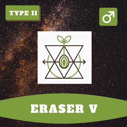 Eraser V (regular)