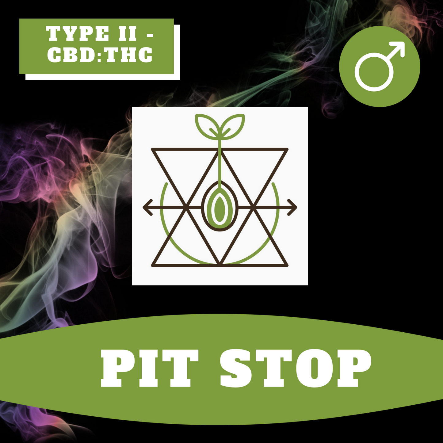Pit Stop (regular)