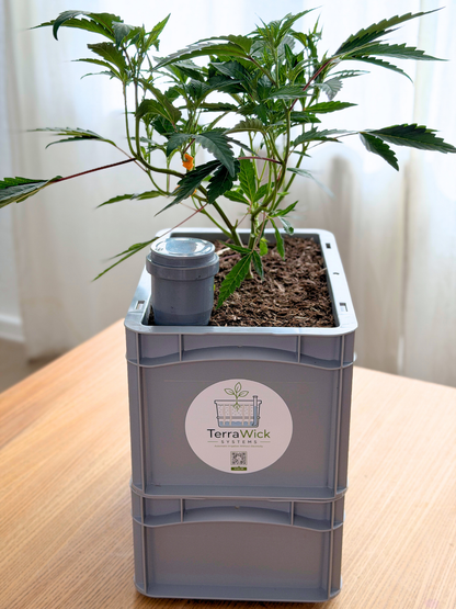 TerraWick® Small