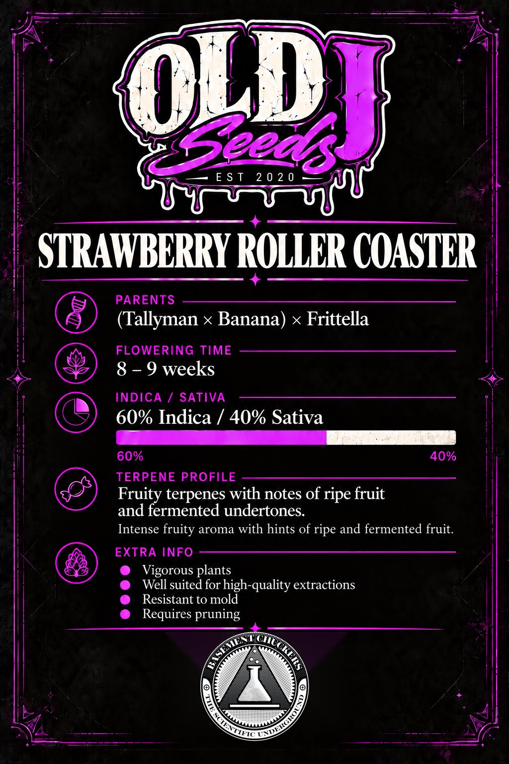 Strawberry Rollercoaster (fem)