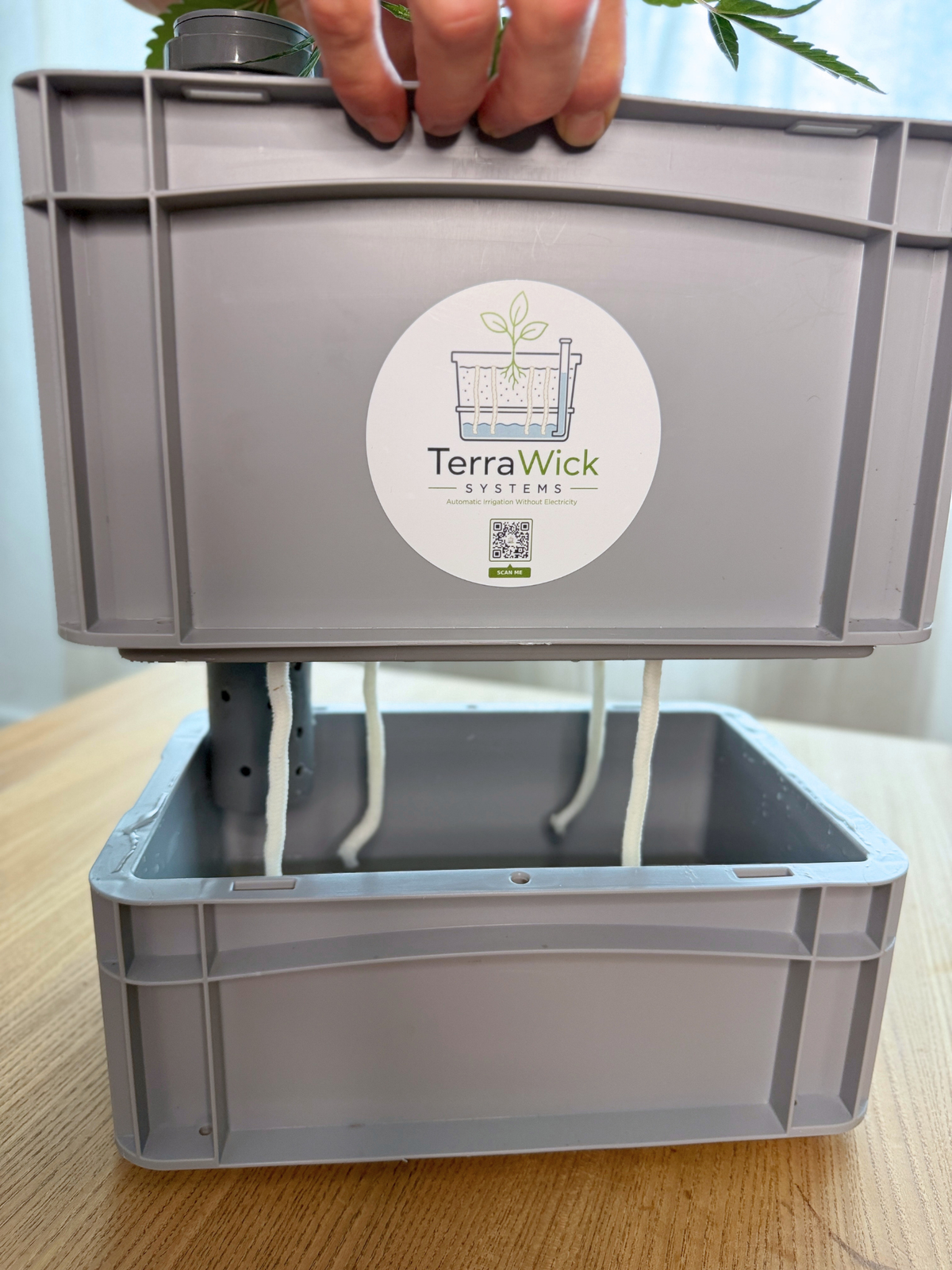 TerraWick® Small