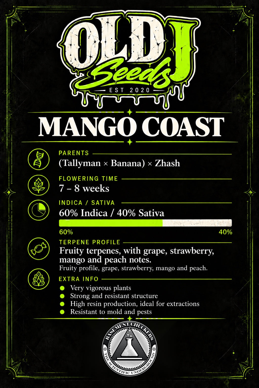 Mango Coast (fem)