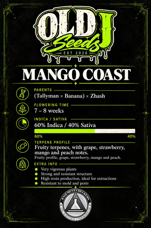 Mango Coast (fem)