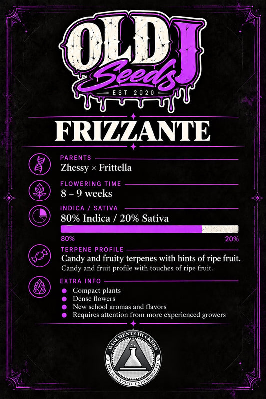 Frizzante (fem)