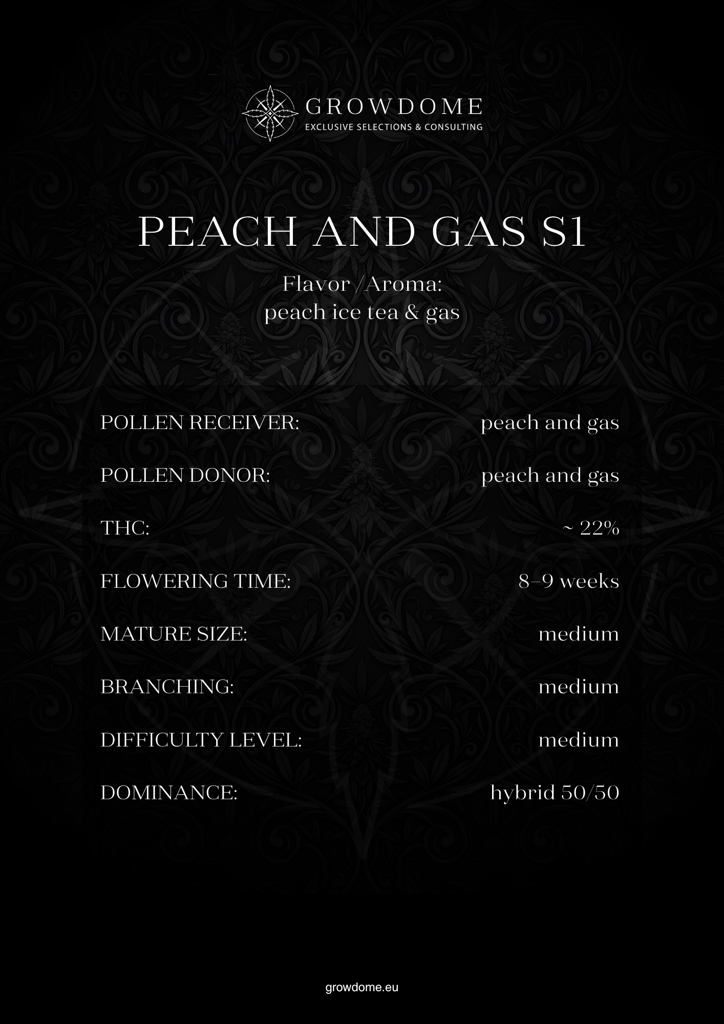 Peach and Gas S1 (feminisiert)