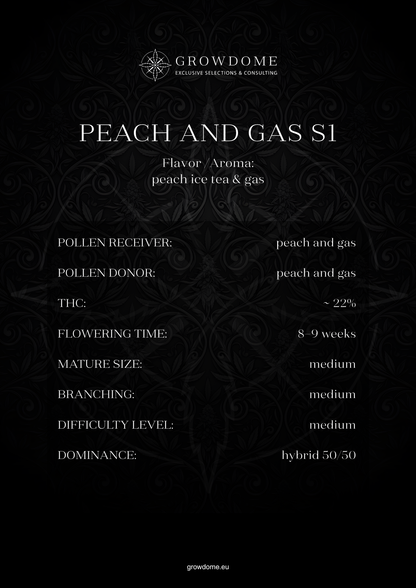 Peach and Gas S1 (feminisiert)