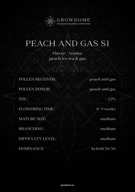 Peach and Gas S1 (feminisiert)
