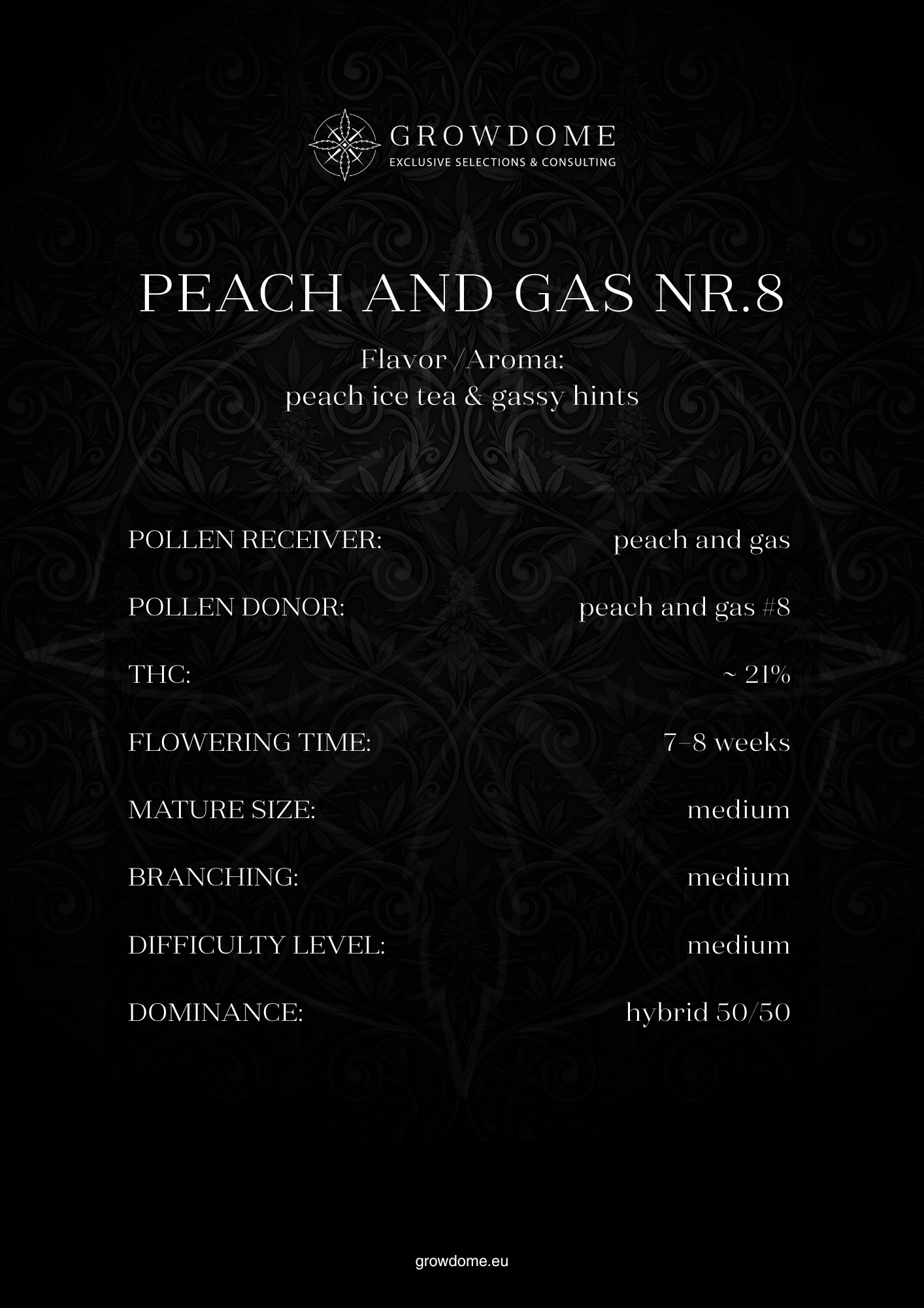 Peach and Gas #8 (feminisiert)