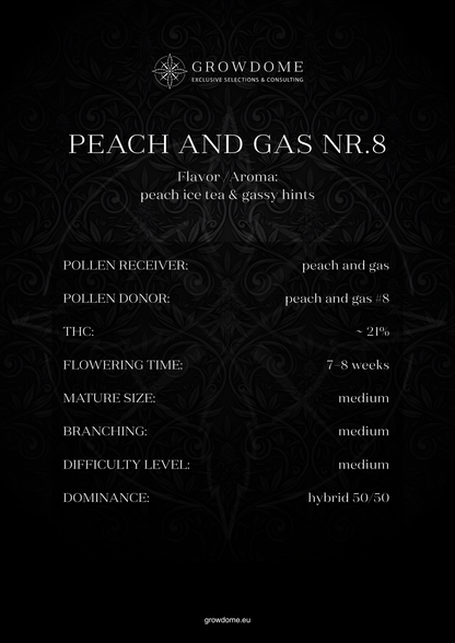 Peach and Gas #8 (feminisiert)