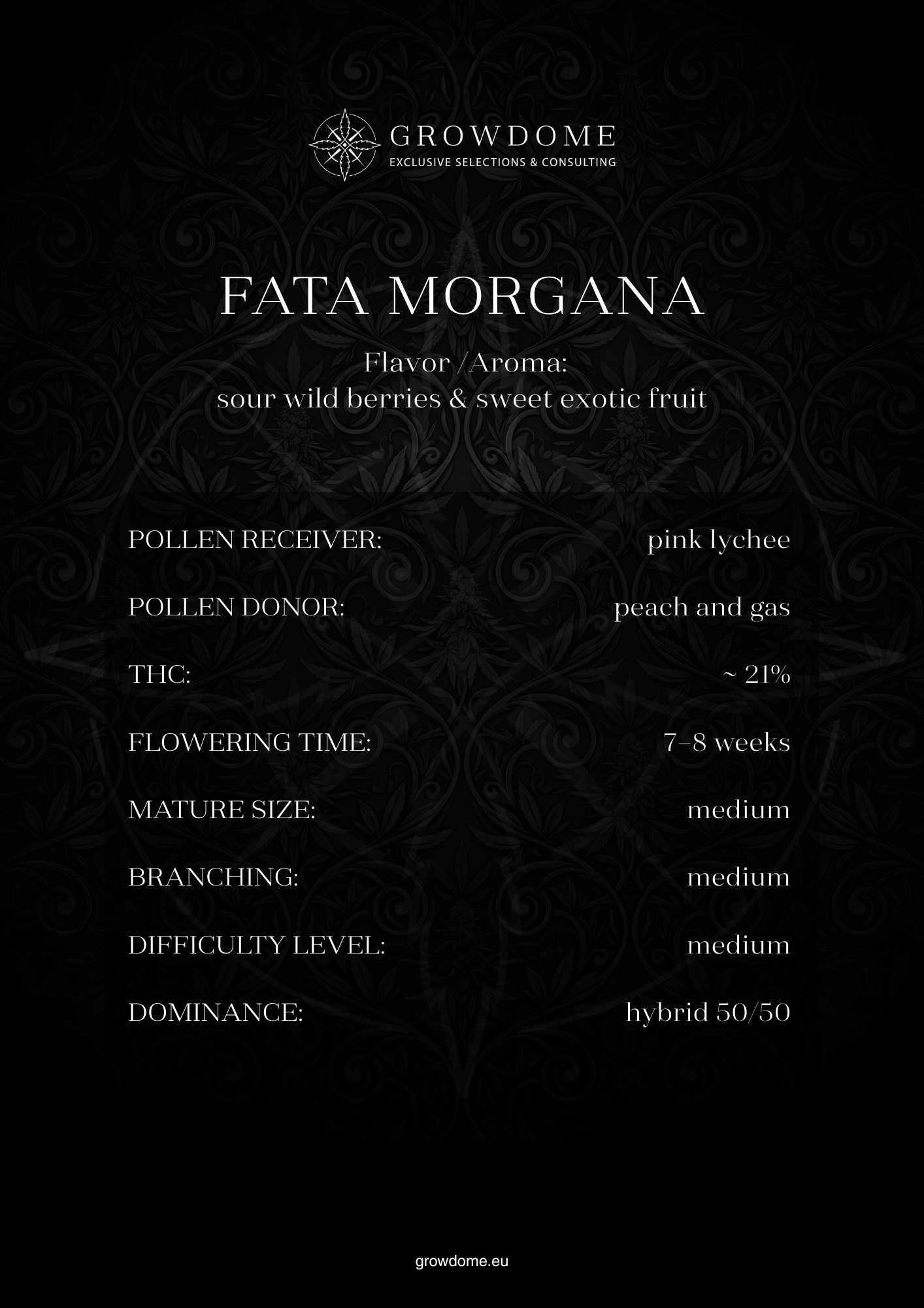 Fata Morgana (feminisiert)
