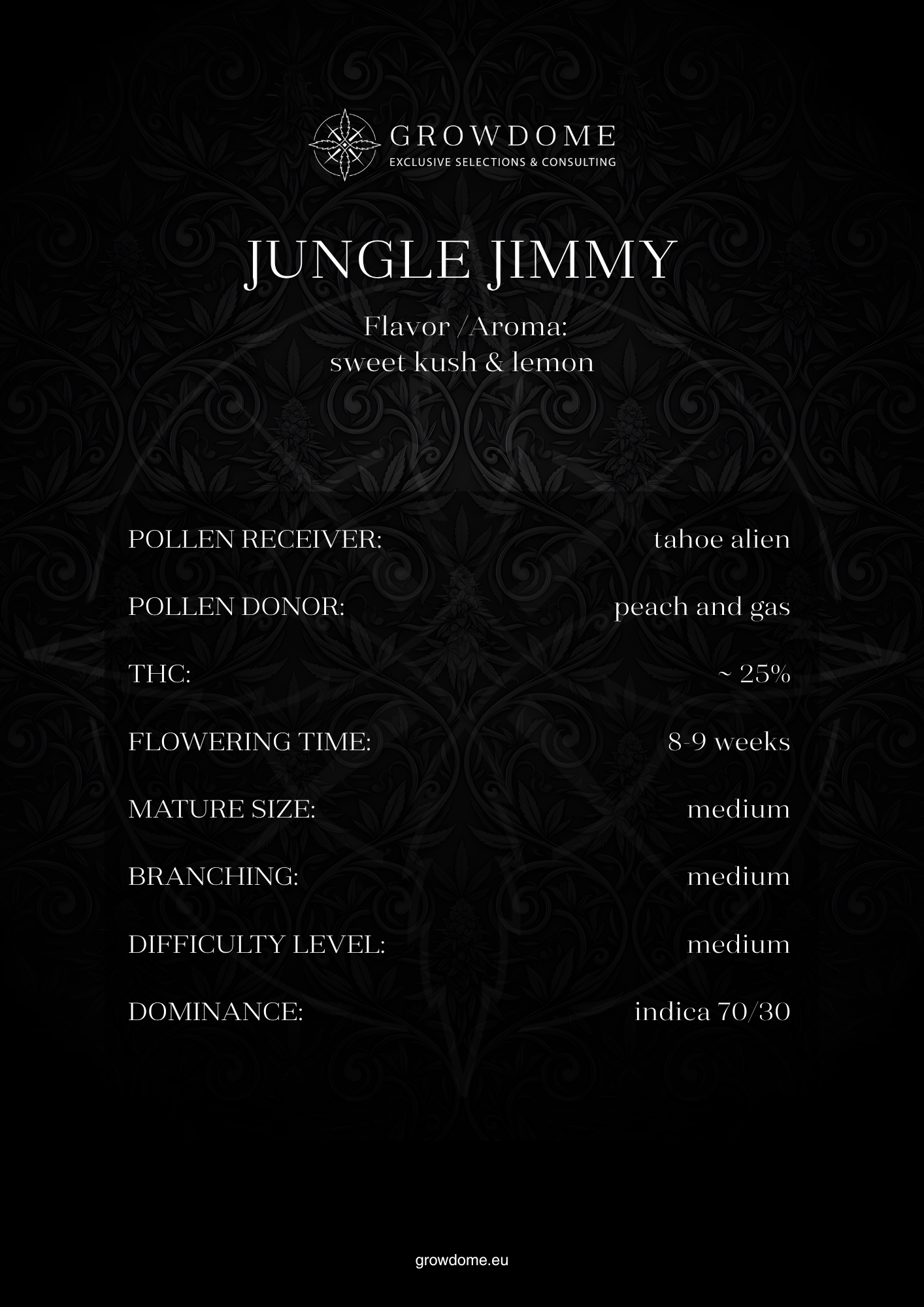 Jungle Jimmy (feminisiert)