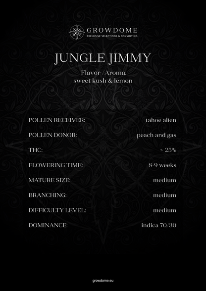 Jungle Jimmy (feminisiert)