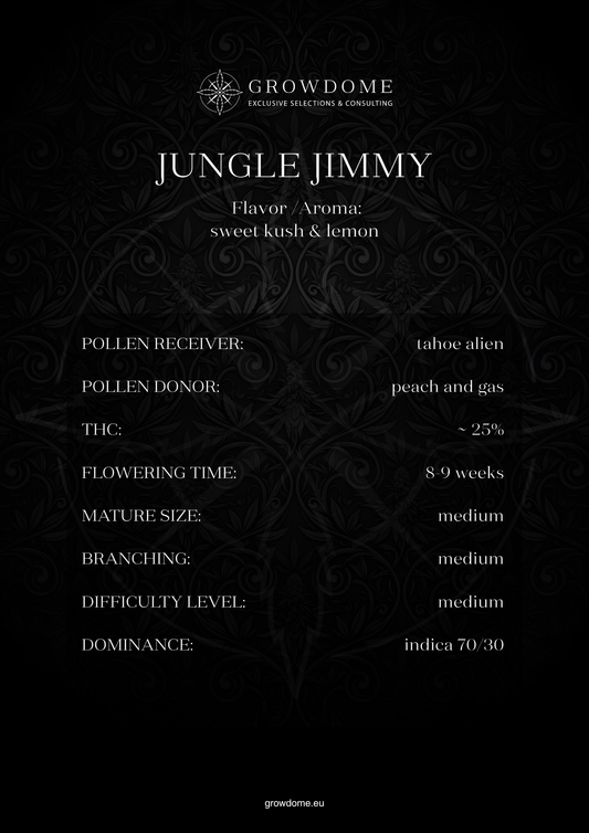 Jungle Jimmy (feminisiert)