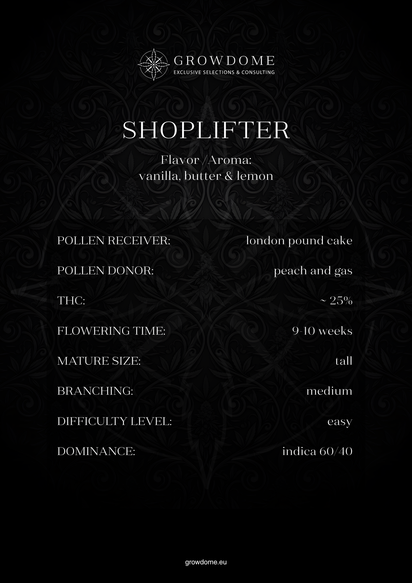 Shoplifter (regulär)