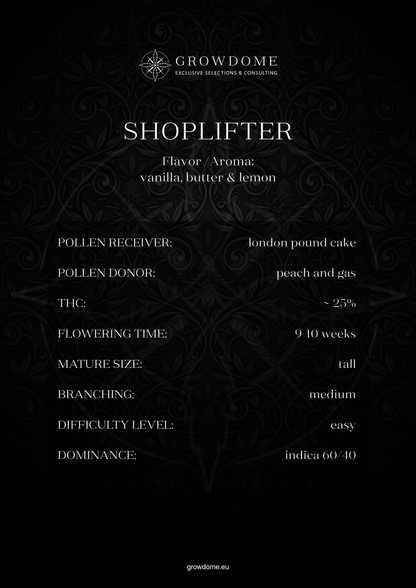 Shoplifter (regulär)