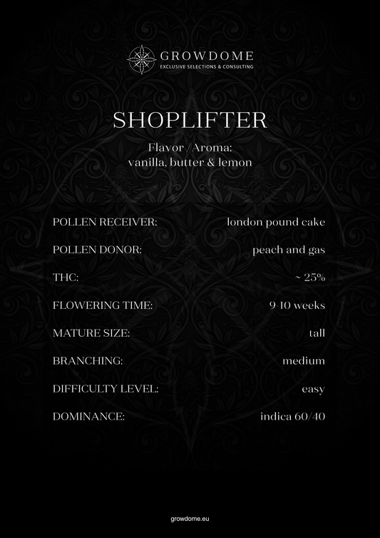 Shoplifter (regulär)