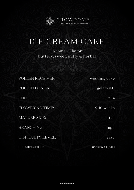 Tarta Helada / Ice Cream Cake (feminisiert)