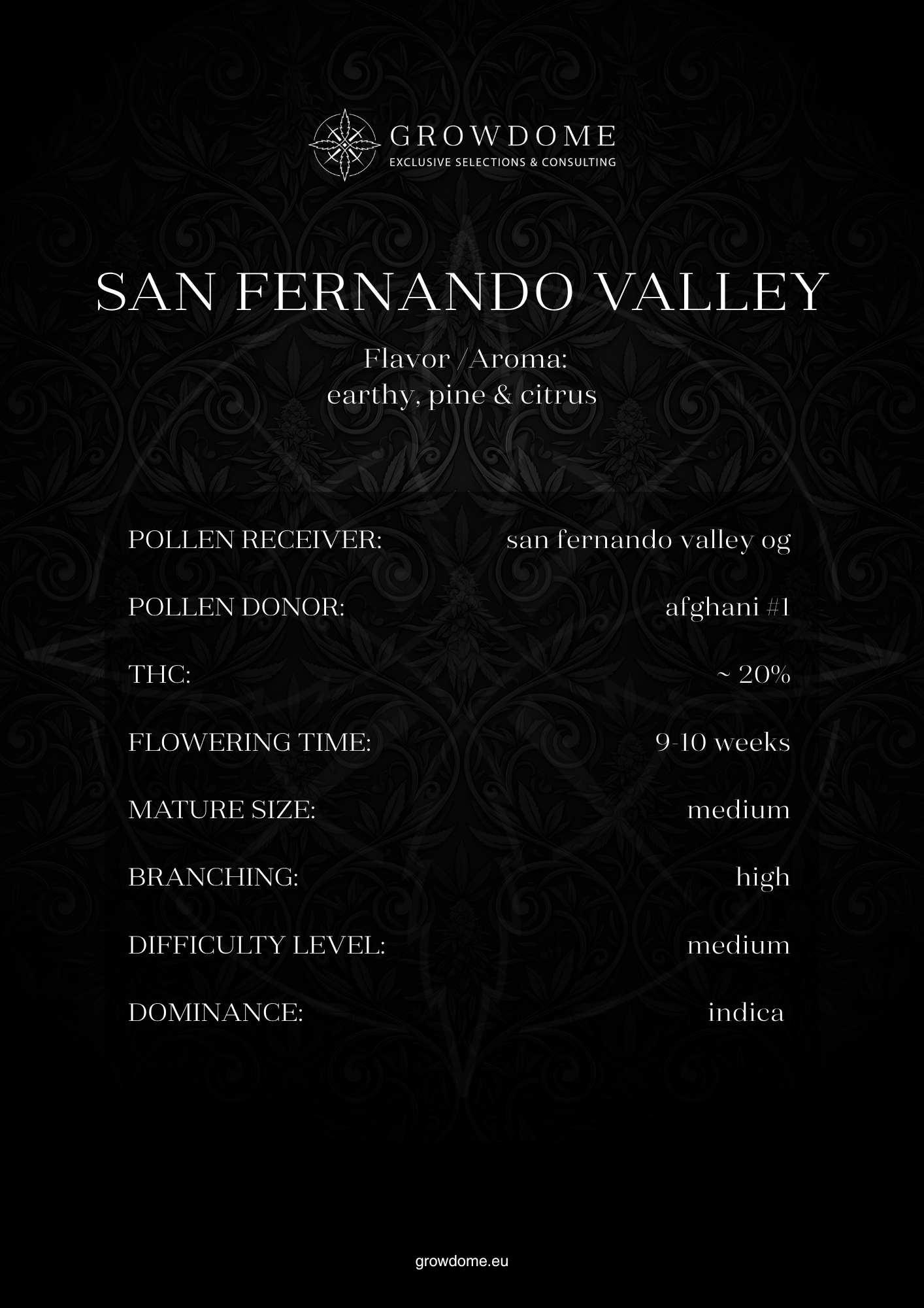 San Fernando Valley (feminisiert)