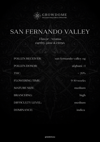 San Fernando Valley (feminisiert)