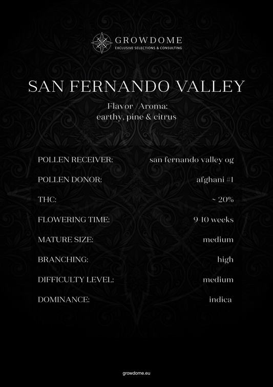 San Fernando Valley (feminisiert)