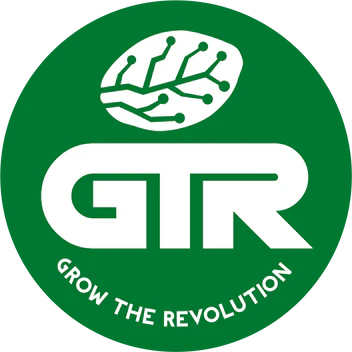 Spiked Pine Cone Triploid (feminisiert)