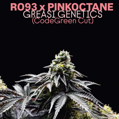 RO93 × Pink Octane