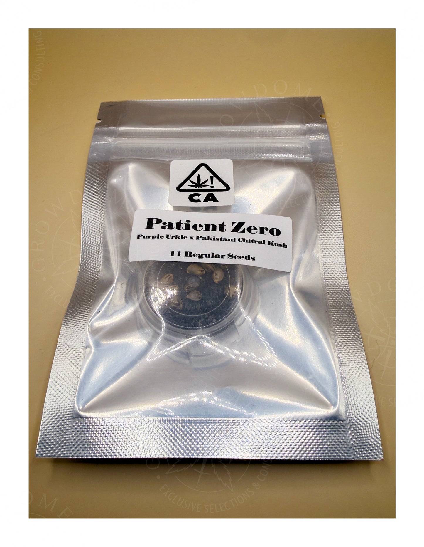 Patient Zero (regulär)