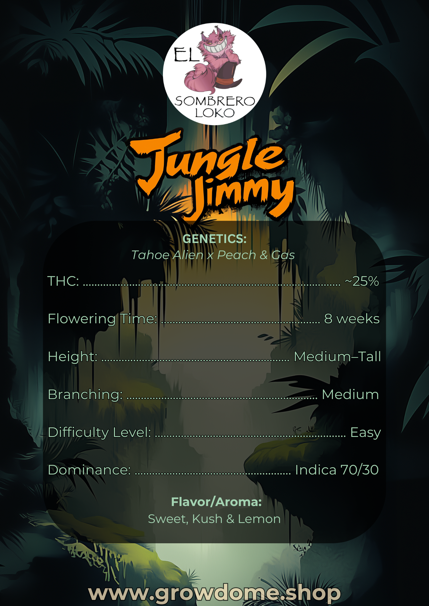 Jungle Jimmy (feminisiert)