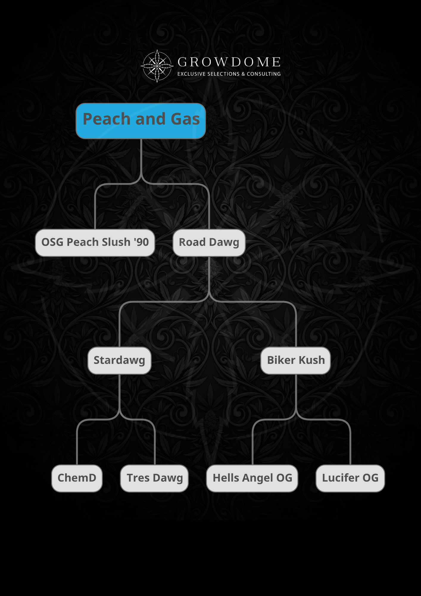 Peach and Gas S1 (feminisiert)