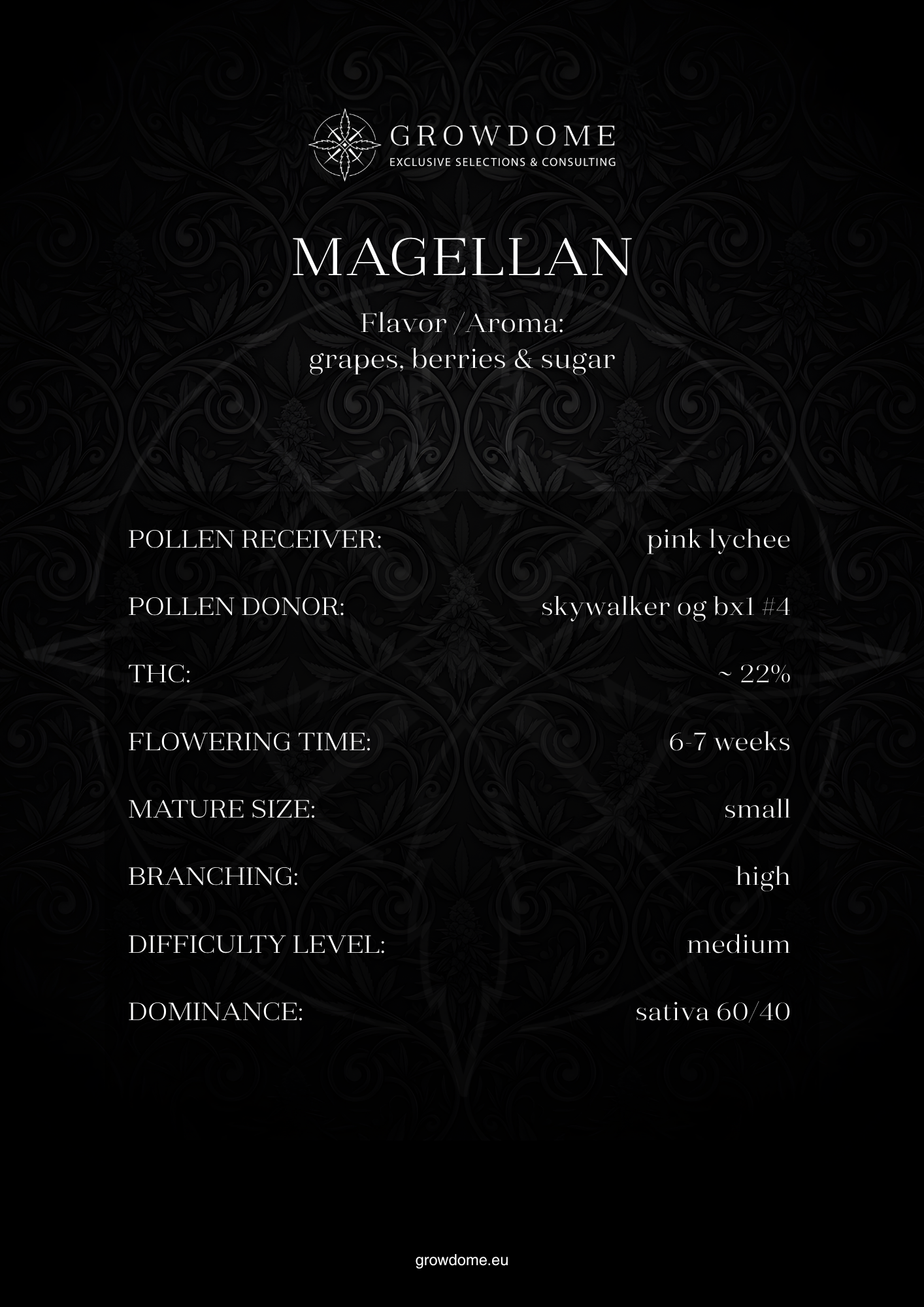 Magellan (feminisiert)