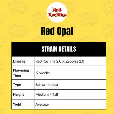 Red Opal (fem)