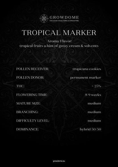 Tropical Marker (feminisiert)