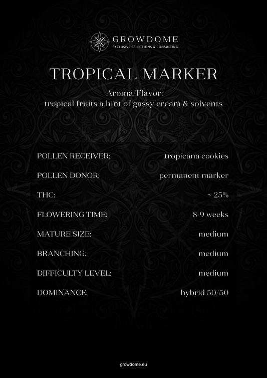 Tropical Marker (feminisiert)
