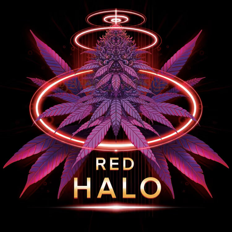 Red Halo (fem)