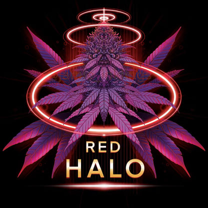 Red Halo (fem)