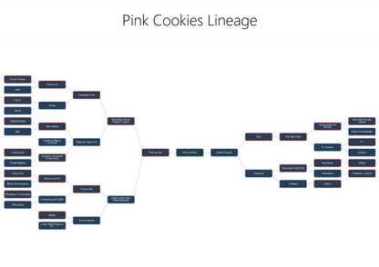 Pink Cookies (feminized)