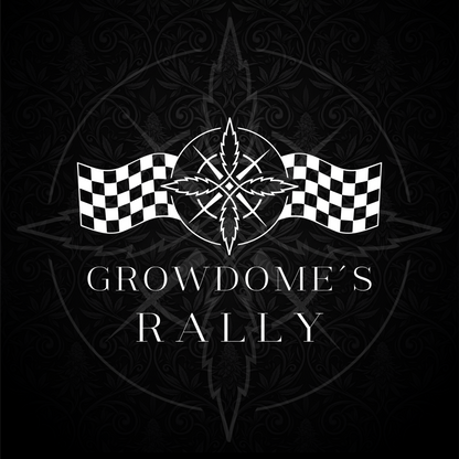 Limited Rally Card Promo Sale